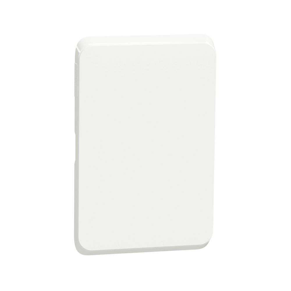 Schneider Electric Iconic Blank Skin 2 X 4