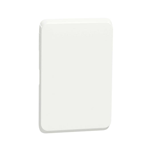 Schneider Electric Iconic Blank Skin 2 X 4