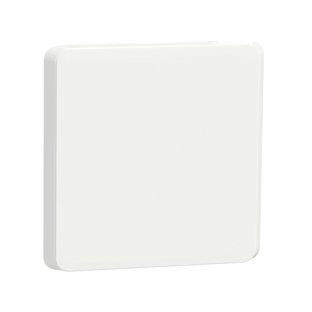 Schneider Electric Iconic Blank Skin 4 X 4
