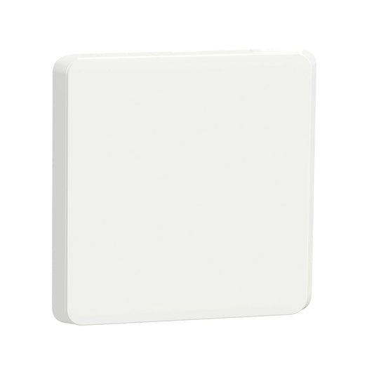 Schneider Electric Iconic Blank Skin 4 X 4