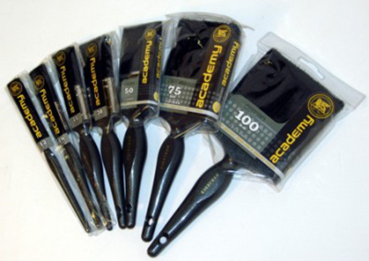 Paint Brush Everyman 100Mm Academy (F0208)