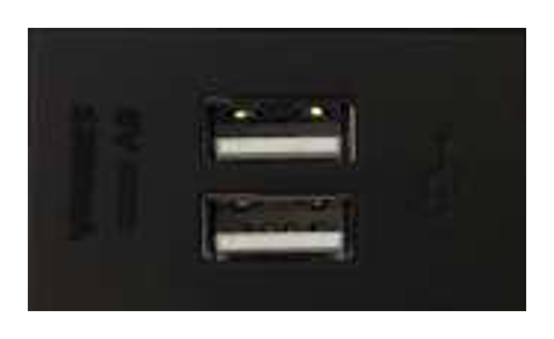 Onesto Trinity 2 AMP USB SOCKET MODULE - BK-TSMUSB