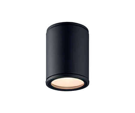 GU10 Ceiling Fitting