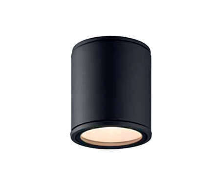 GU10 Ceiling Fitting