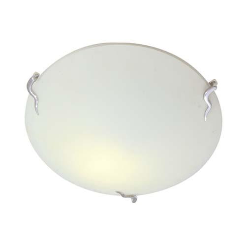 Round Ceiling Light With Snake Clips