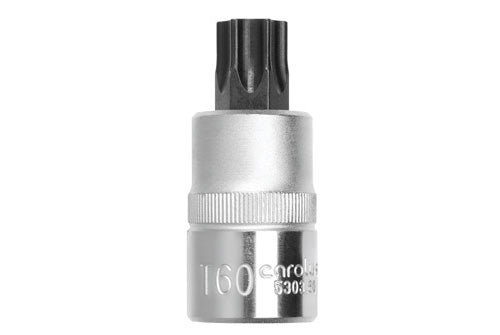 Carolus Socket S/B 1/2"  T25