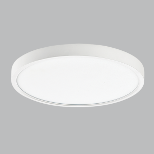 CF567 MATT WHITE