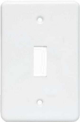 Electrical Mts Switch Cover Plate 1 Lever Loose L