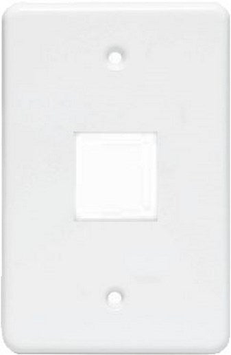 Electrical Mts Switch Cover Plate 2 Lever Loose L