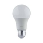 LED A60 10W E27 LAMP
