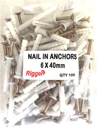 Nail In Anchors Bulk 6X 40 Pack 100