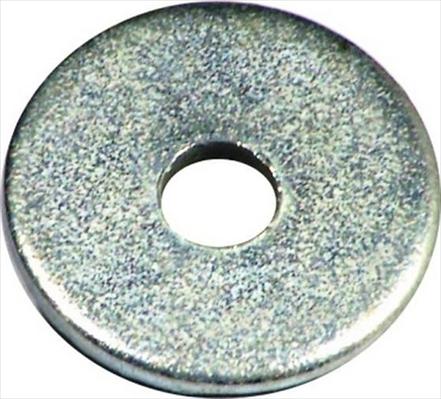 Rivet Fascor Washer Pkt/100 W5