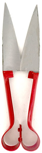 Shear Sheep Qt 50# Q900483