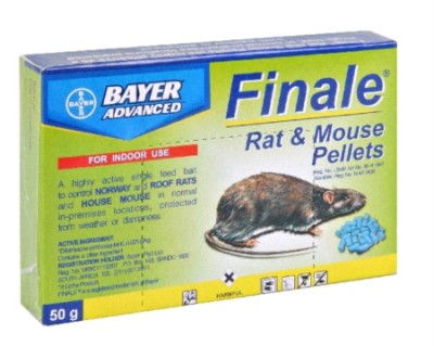Rat Ultrakill Boxes 50G Coopers