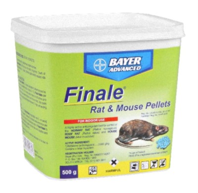 Rat Ultrakill Tin 500G Coopers