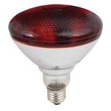 MR ELECTRIC 250W Infrared Chicken Brooder Lamp for Domestic and Commercial Use