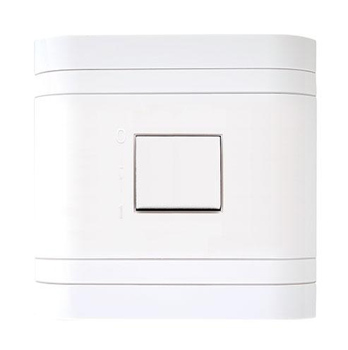 Lesco Cover Strip 3 Pole Isolator Switch