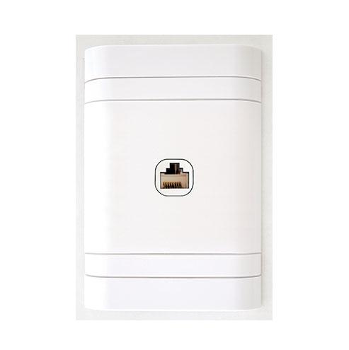 Lesco Cover Strip, 1 Way Data/Network Socket - Rectangle