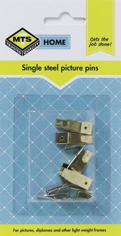 Mts Home Single Steel Picture Pins 6Pc