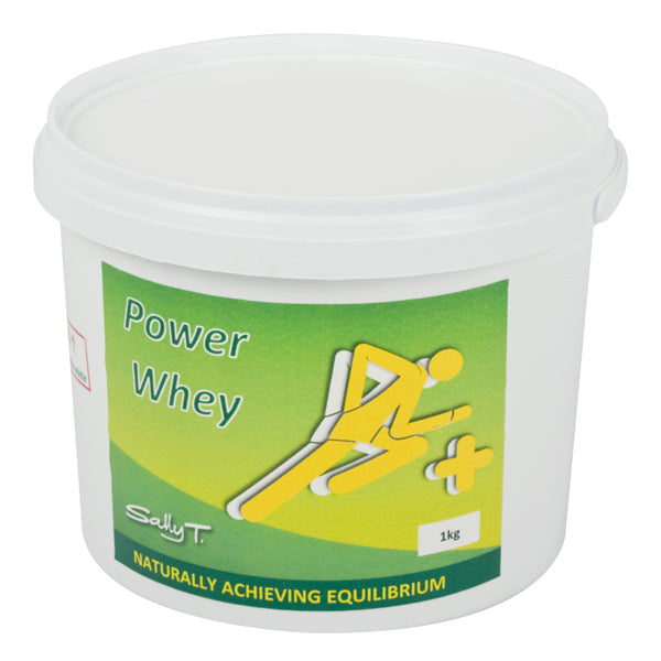 Power Whey 1Kg