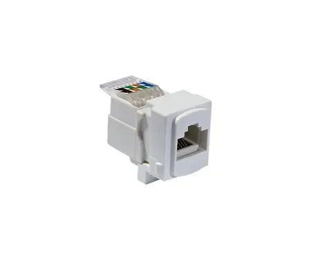 Cat 6 Data Module