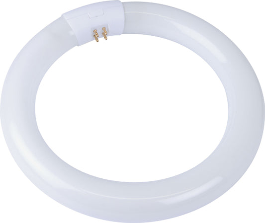 Osram F/Tube Circ 22W C/White Bx Per12
