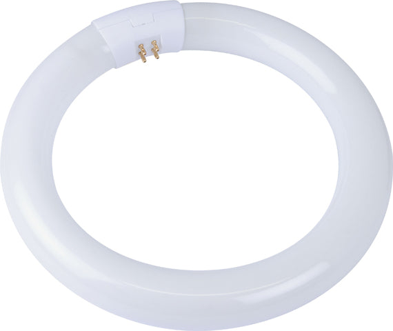 Osram F/Tube Circ 32W C/White Bx Per12