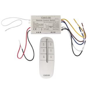 Brightstar 4-Way Remote and 200W LED Receiver