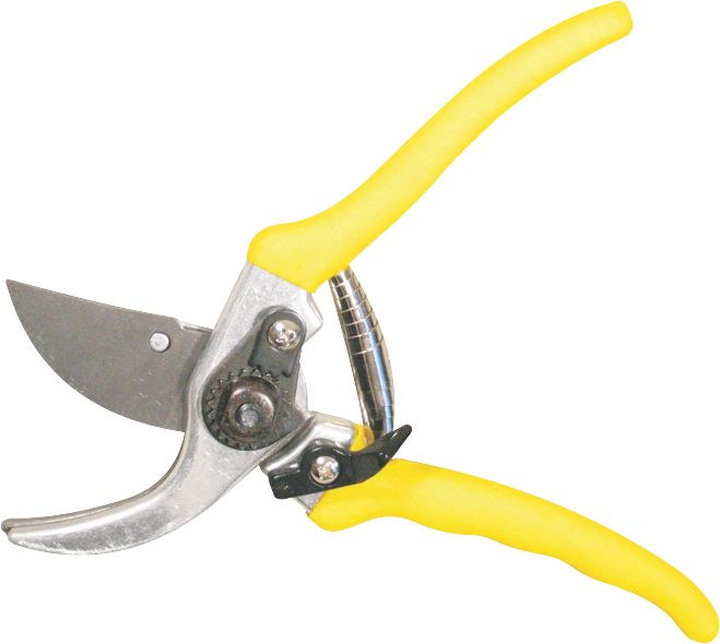 Raco Secature Pruning Mts By-Pass