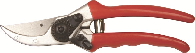 Raco Prof Secateur Ps6 210Mm Rt52/006S