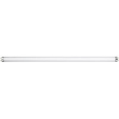Fluorescent Tube T8 G13 36W Cool White - 4Ft