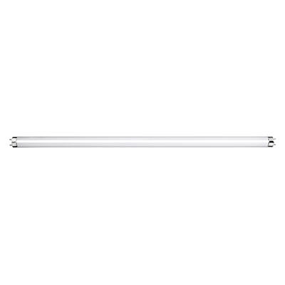 Fluorescent Tube T8 G13 36W Daylight- 4Ft