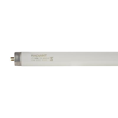 Fluorescent Tube T8 G13 58W Cool White - 5Ft