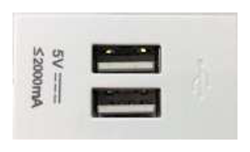 Onesto Trinity 2 AMP USB SOCKET MODULE - TSMP001USB