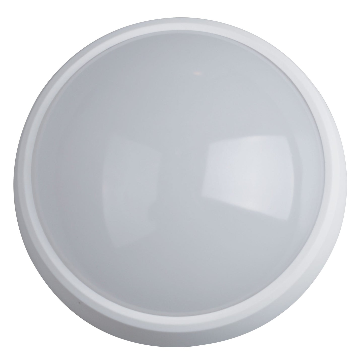 12W LED White Bulkhead (B34)