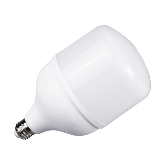 T80 20W E27 LED BULB (ES160)