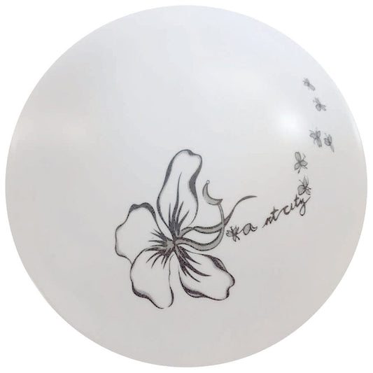 18W LED Ceiling (C496)