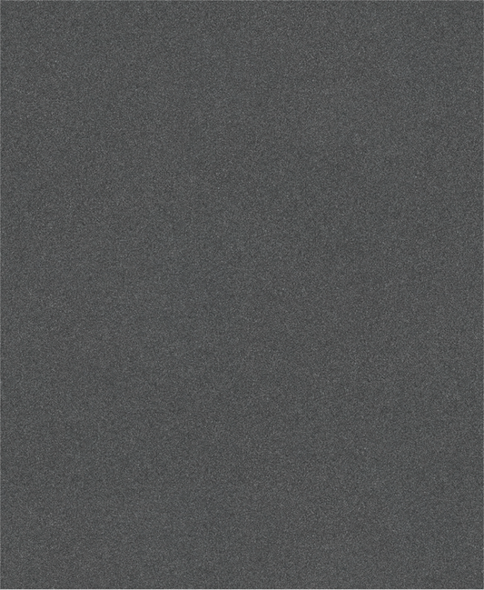 PRO C344 wet and dry Hand Sanding Sheet