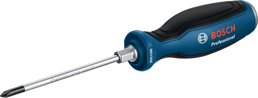 Screwdriver PH1X100 mm Professional