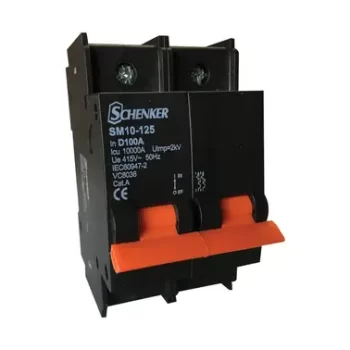 Double Pole D Curve 10kA Circuit Breaker